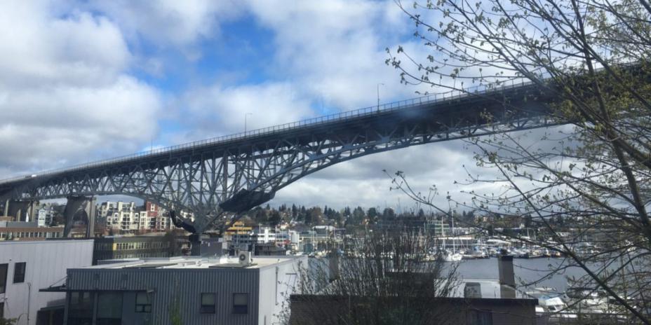 Steel bridge over water
