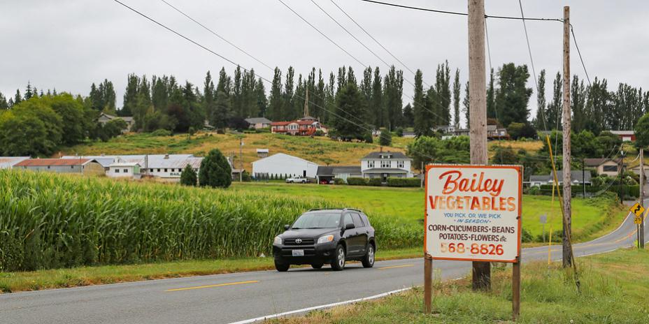 Car passes sign for Bailey Vegetables in rural Snohomish County.